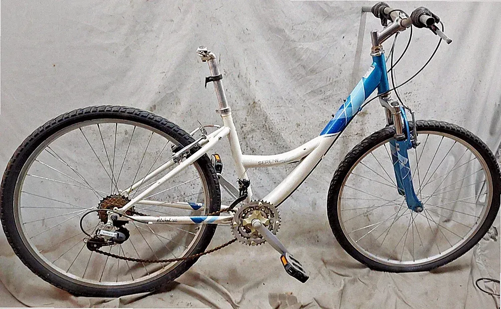 2020 Diamondback Serene Citi Classic Hybrid Bike 15" Small Steel Triple StepThru