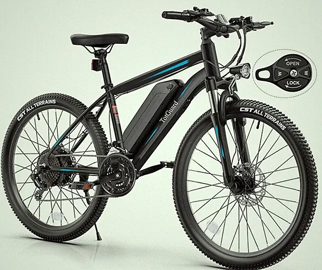 ebike battery Comes With Charger